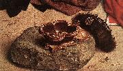 GOES, Hugo van der Monforte Altarpiece (detail) oil